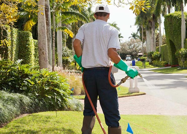 About Wagener SC Pest Control Pros